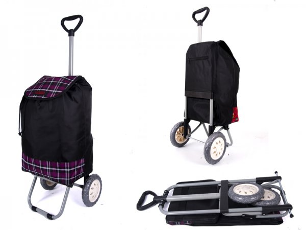 shopping trolley with extendable handle