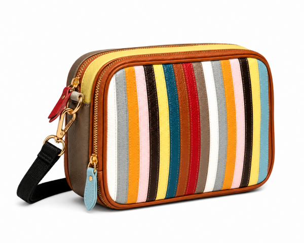 3902 Multi-Stripe Camera Crossbody Bag