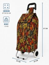 B-ST-05 Leaf Black/Red 2 Wheeler Trolley